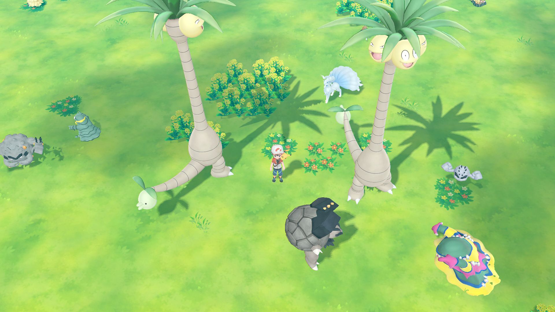 Alola-Kokowei Alola-Kokowei