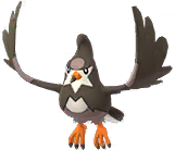 Staravia