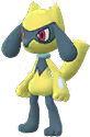 Riolu