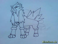 Zeichenkurs Entei - Schritt 5