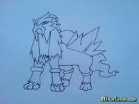 Zeichenkurs Entei - Schritt 6