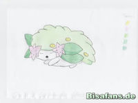 Zeichenkurs Shaymin (schlafend) - Schritt 1