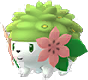 Shaymin