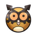 Hoothoot