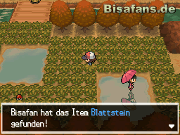 Hier kannst du einen Blattstein finden