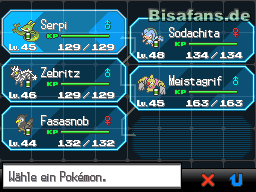 Sieht mein Team für die Arena so aus