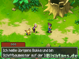 Und gewinnen gleich zwei neue Freunde - Pichu und Bukka