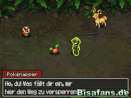 Im Teakholzbusch gibt es wieder Pokénapper, die Pokémon ärgern