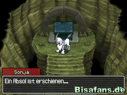 Der Kampf gegen Absol ist nicht leicht