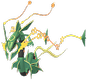 Mega-Rayquaza