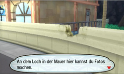 Pokémon-Sucher