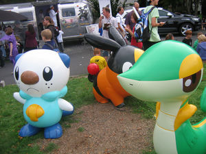 2011: Starters