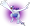 Lugia