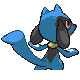 Riolu