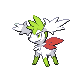 Shaymin Zenitform