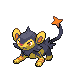 Luxio ♀