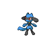 Riolu