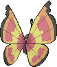 Vivillon Sonnenmuster