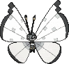 Vivillon Frostmuster