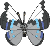 Vivillon Monsunmuster