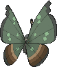 Vivillon Dschungelmuster