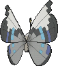 Vivillon Monsunmuster