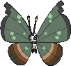 Vivillon Dschungelmuster