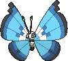 Vivillon Aquamarinmuster