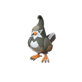 Staravia