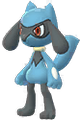 Riolu