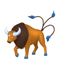 Tauros