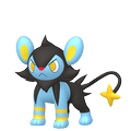 Luxio ♀