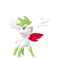 Shaymin Zenitform