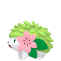 Shaymin Landform