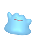 Ditto