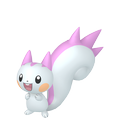 Pachirisu ♀