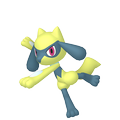 Riolu