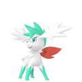 Shaymin Zenitform