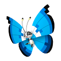 Vivillon Aquamarinmuster