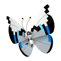 Vivillon Monsunmuster