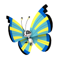 Vivillon Savannenmuster