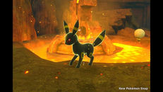 Screenshot von Nachtara (Umbreon374)