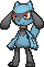 Riolu Riolu