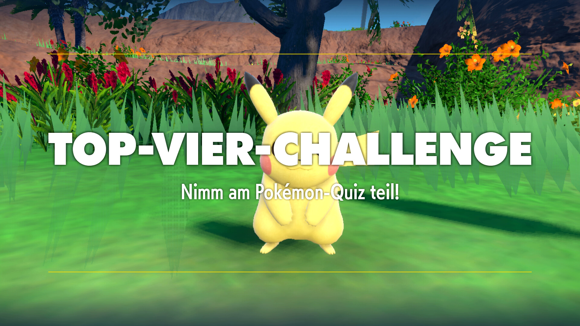 Top Vier Tara Top Vier Tara