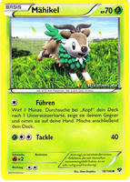 XY-Basisset 18/146 Mähikel