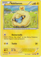 Dampfkessel 38/114 Voltilamm