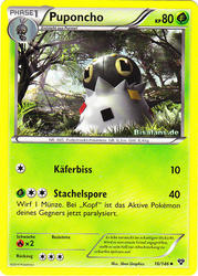 XY-Basisset 16/146 Puponcho