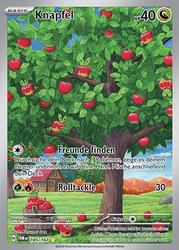 Maskerade im Zwielicht 185/167 Knapfel