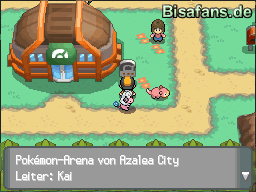 Die Arena von Azalea City