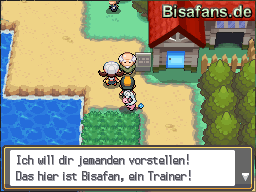 Die Pokemon Pension